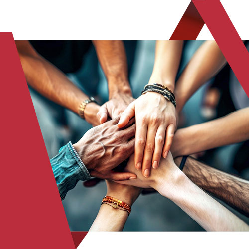 Adjunct-antenneverantwoordelijken (V/M/X)